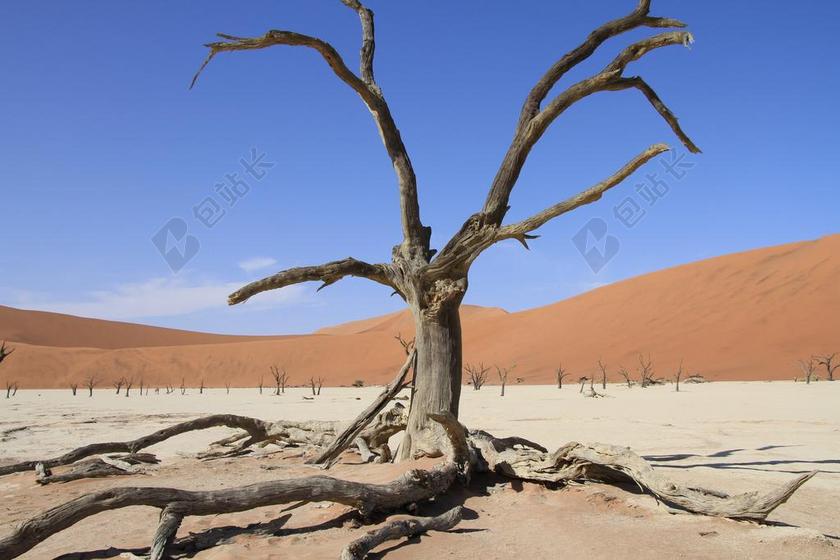 面临的挑战 活 死亡 无情 生存 恐惧