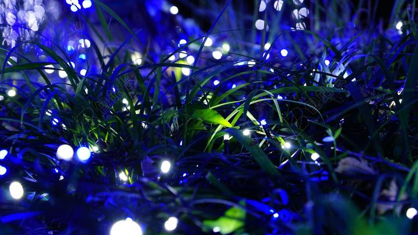 夜景 灯光节 一RUMIAH 景 草 光 在晚上