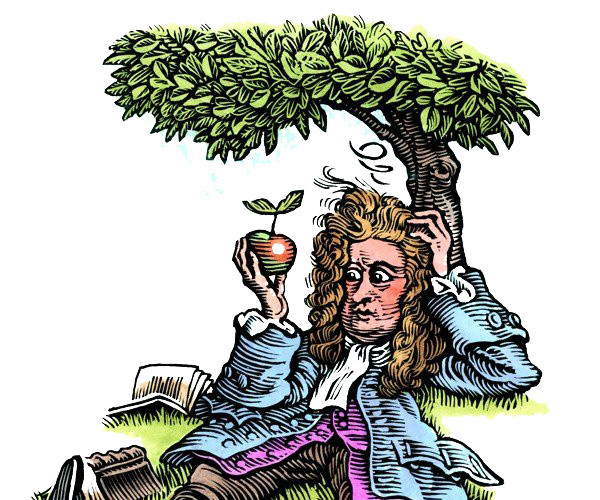 简约牛顿苹果插画