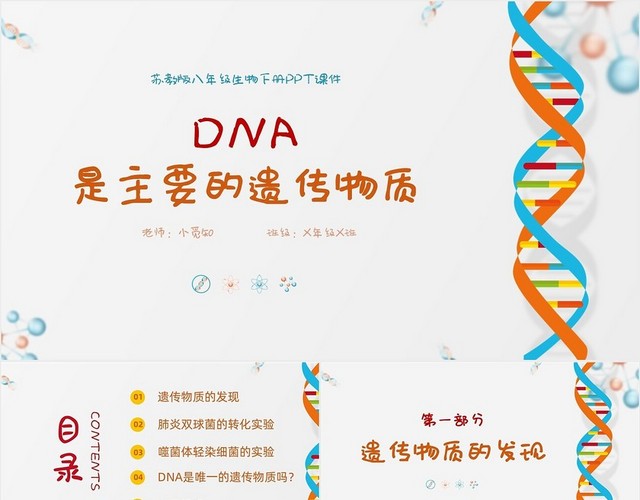 白色插画风简约DNA是主要遗传物质八年级生物下册课件