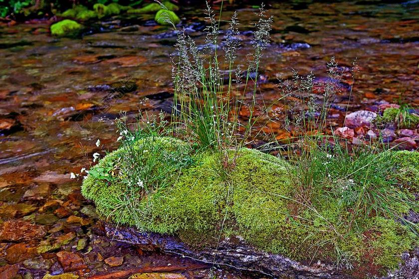 冬奥会 西方塔特拉