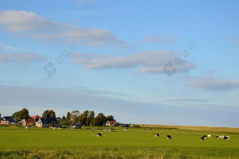 荷兰草原景观风景自然环境背景图片