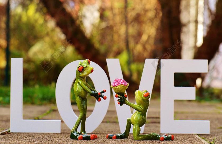 旅游浪漫青蛙求婚婚纱店背景图片