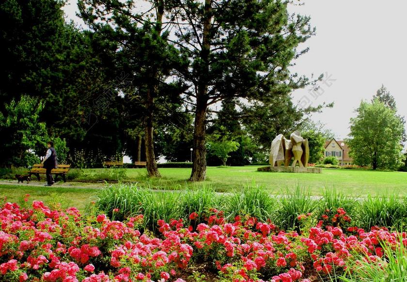 鲜花 高峰 花园 天空 性质 夏季 绿色 景观 植物 公园