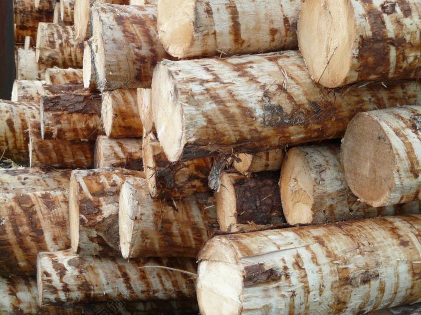 木 树干 木材 HOLZSTAPEL 木器 剥皮 木料 原料