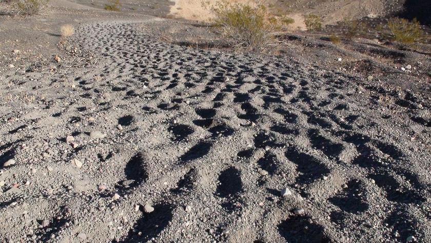 死亡谷 VACANO 内华达州 沙 碎石 景观 荒野 风景