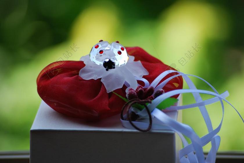 广告时尚毕业送礼瓢虫发夹背景图片