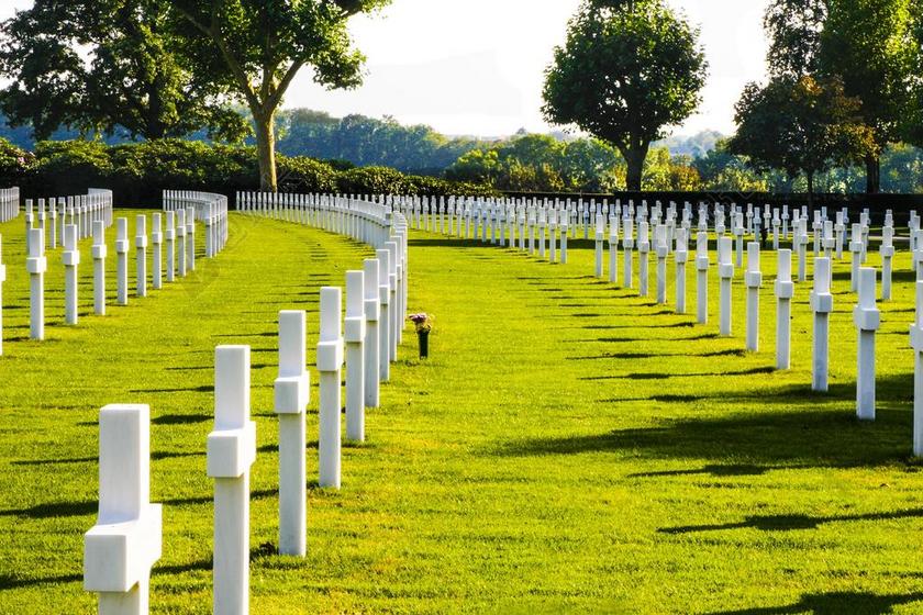 荣军纪念日 公墓 战争 十字架 墓碑 第一次世界大战 坟墓