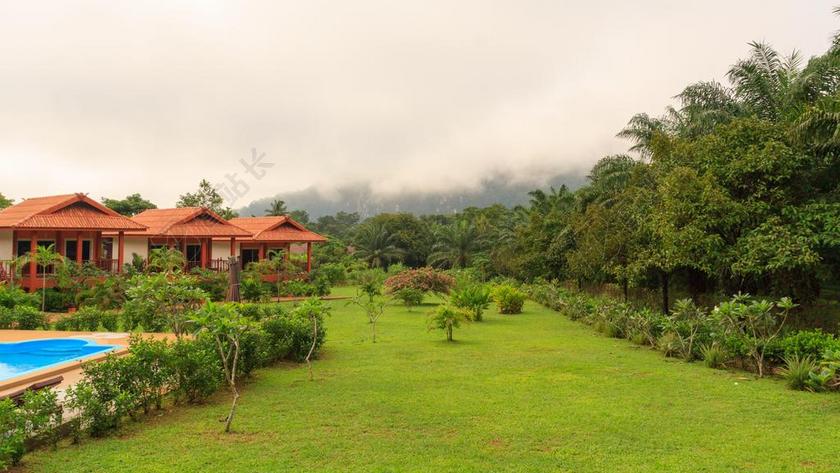 早上的情绪 存款保险计划 丛林 山 云 田园 小屋