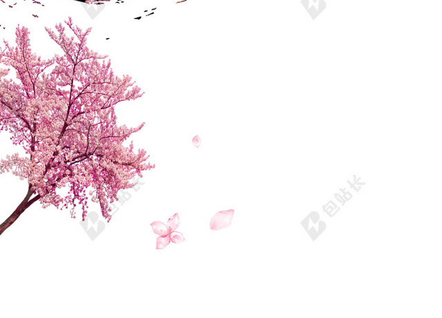 旋风粉色樱花树中国风樱花节旅游宣传2019海报背景
