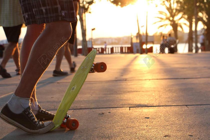 太阳 海 海滩 滑板