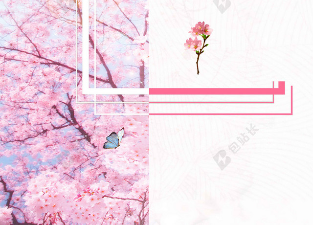 窗口樱花中国风粉色樱花节旅游宣传2019海报背景