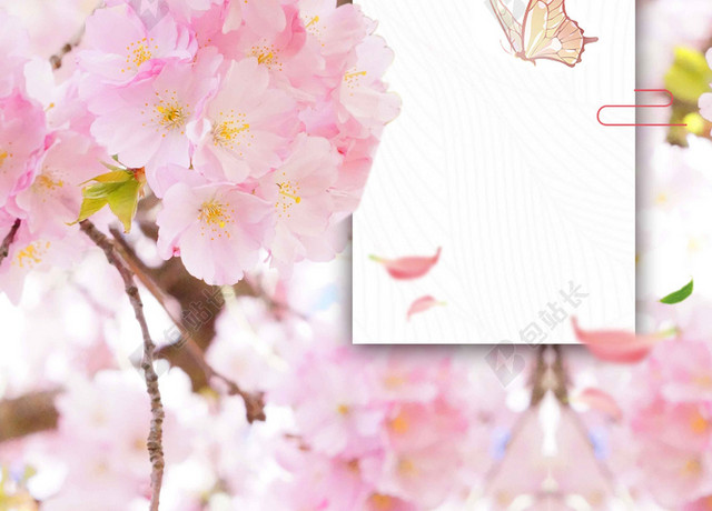 蝴蝶燕子中国风粉色樱花节旅游宣传2019海报背景