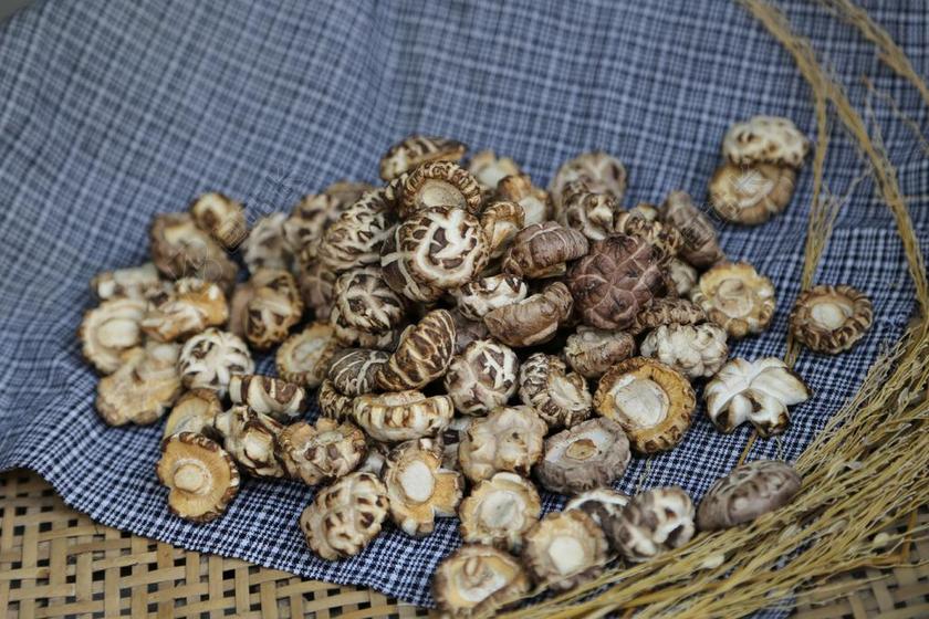 香菇 原生态 摄影 农业 生活