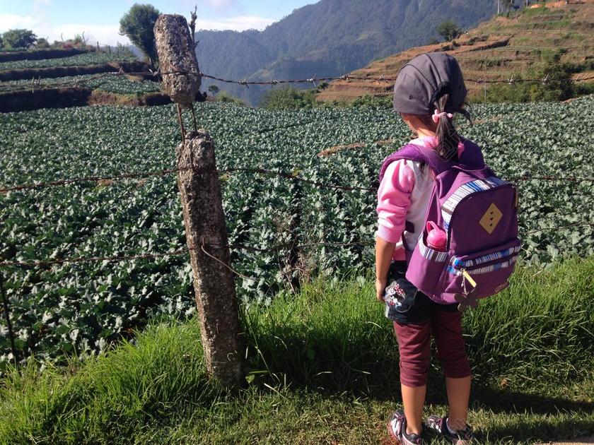旅游清新绿色的田野站立的小女孩背景图片