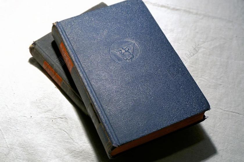 图书 读取 字体 纸 老 旧书籍 文本 浏览 文学 页