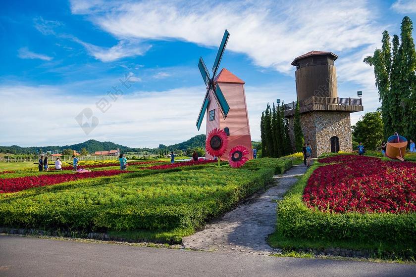 旅游清新银湖葡萄园背景图片