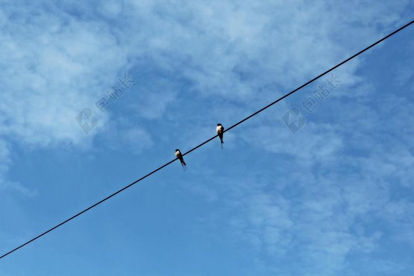 燕子 天空 云 蓝色 电源控制 UNSCHWALBEN 对 飞