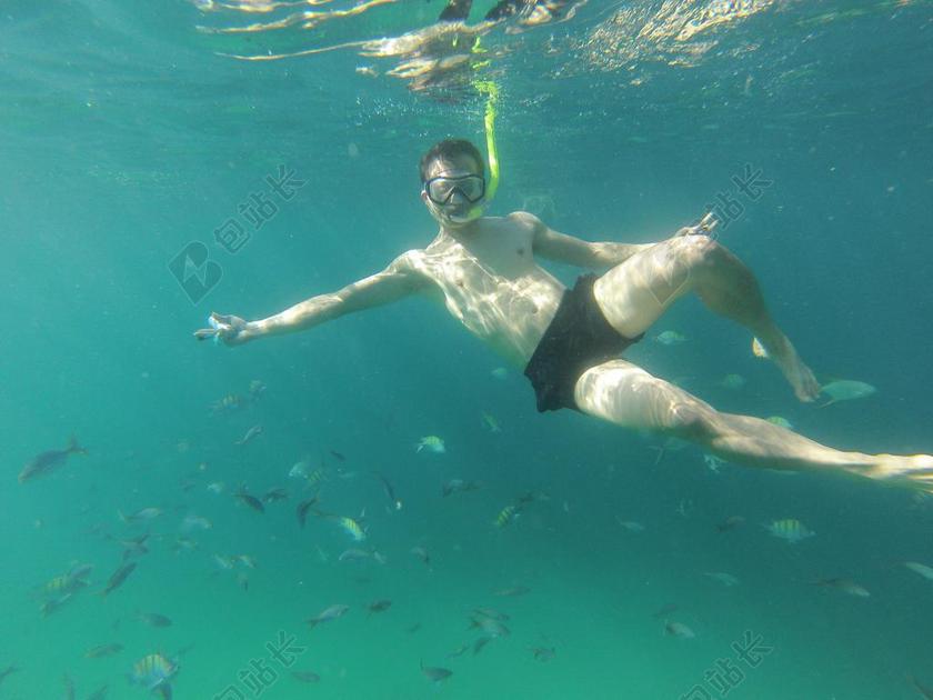 浮潜 墨西哥 下加利福尼亚州 鱼