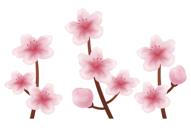 春天踏青日本樱花花朵花瓣花卉树叶树枝PNG元素