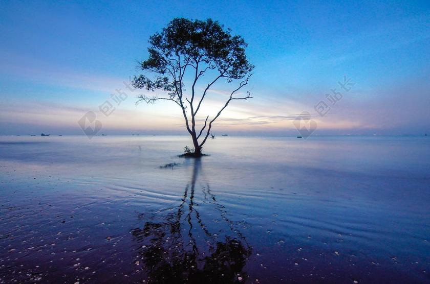 唯美昏暗的小树倒影背景图片