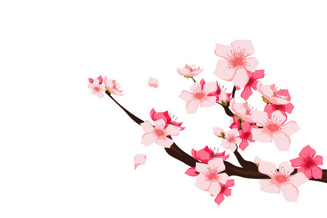 春天踏青日本樱花花朵花瓣花卉树枝PNG元素