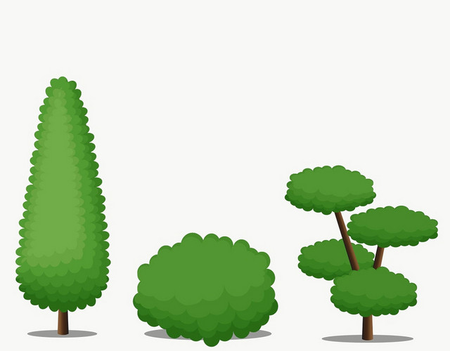植物平面景观植物景观灌木树素材