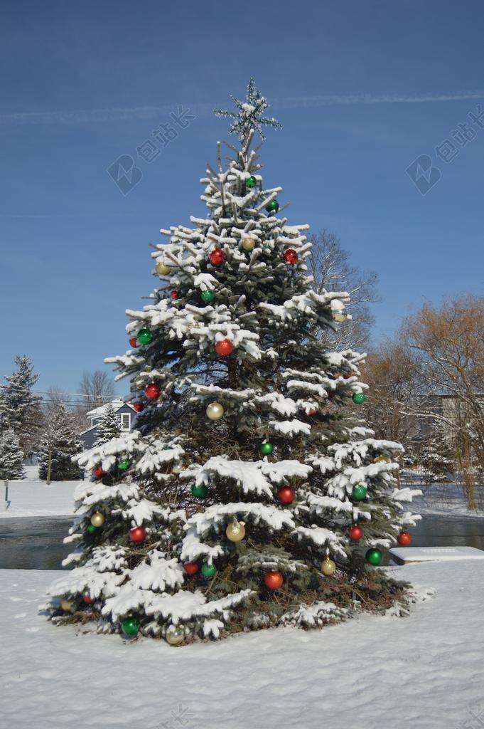 圣诞树 圣诞节 度假 装修 圣诞树背景 庆典 冬天 季节性