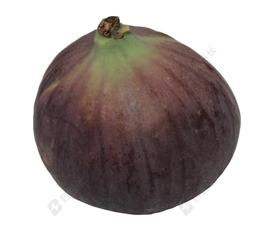 无花果 榕 新鲜 原 灌木 鲜食 水果