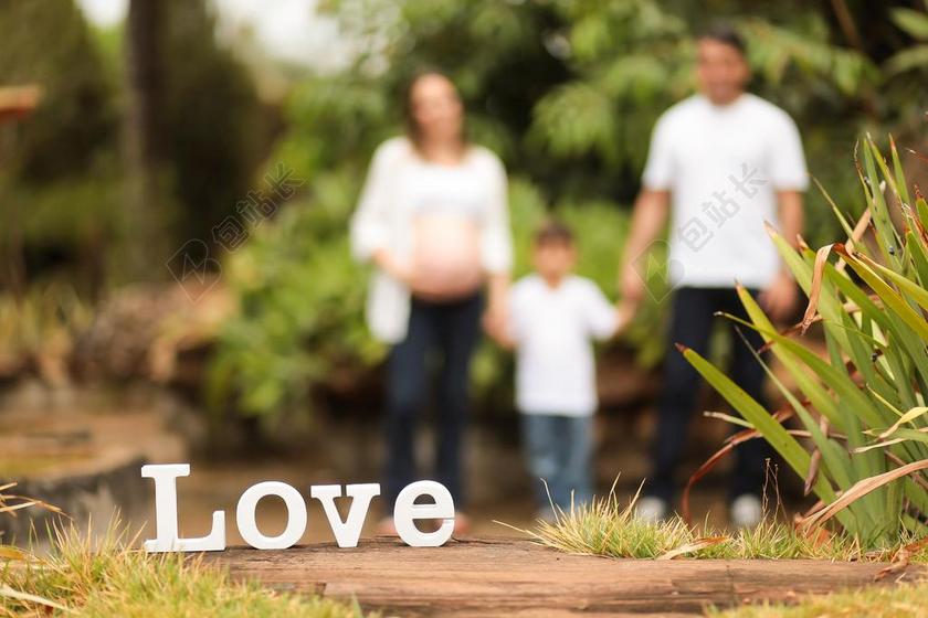 怀孕的女人 怀孕 肚 母亲 大肚皮 等候 婴儿 产妇的测试