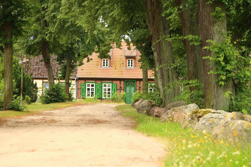 布施帕希姆 桁架 大道 离 路 树木 林荫大道