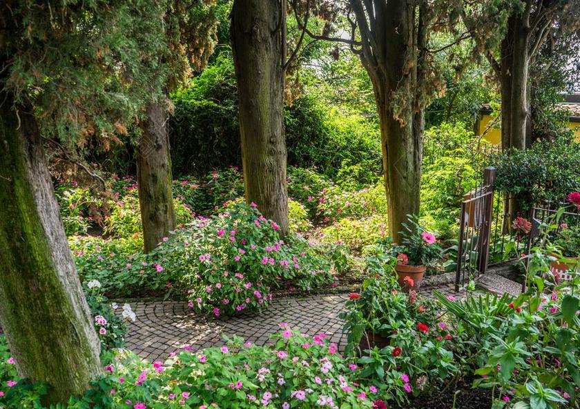 旅游自然花园景色背景图片