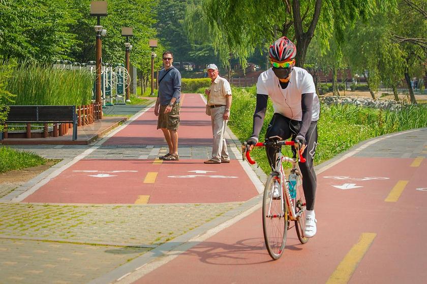 骑自行车 城市公园 韩国 汉城 度假 惊喜 体育 运动 夏季