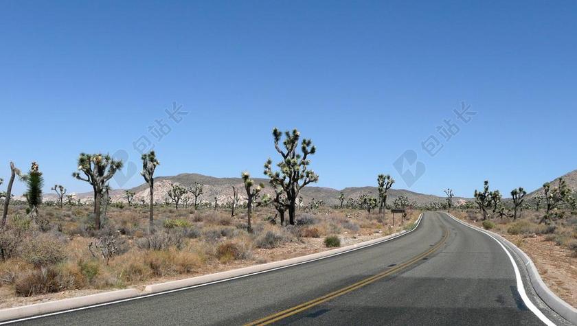 旅游自然约书亚树国家公园背景图片