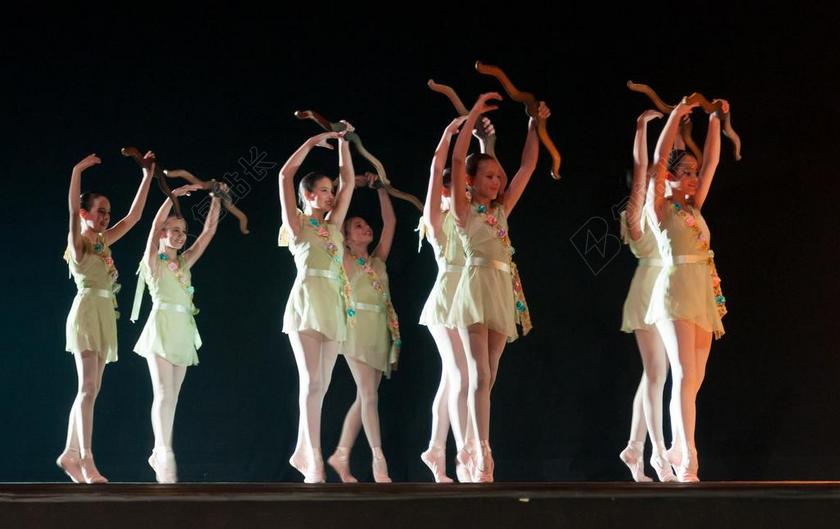 芭蕾舞团 性能 芭蕾舞女演员 舞蹈家 青年 堂吉诃德