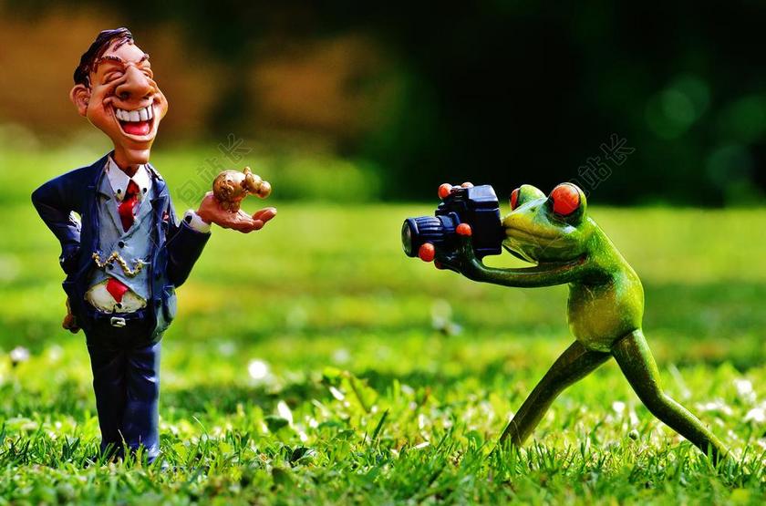 商人 拍摄照片 赢家 照片 男子 青蛙 摄影师 滑稽 乐趣