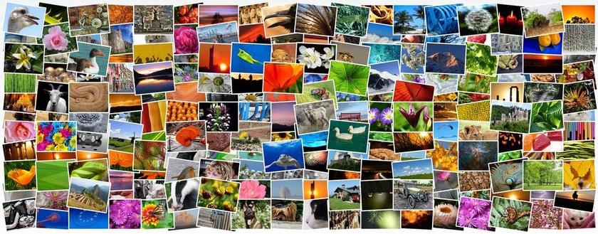 图像 照片 照片集 相册 马赛克 拼贴画 录音 多样性 许多