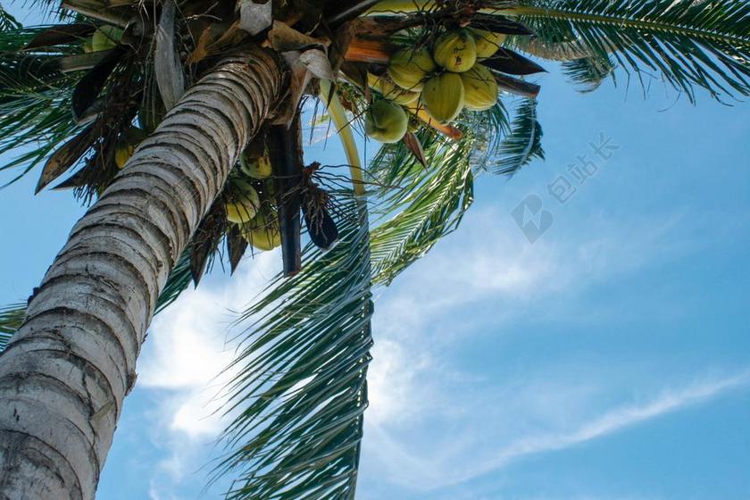 海 天空 7 天 周 海边 节日 泰国 游 沿岸 夏 海滩
