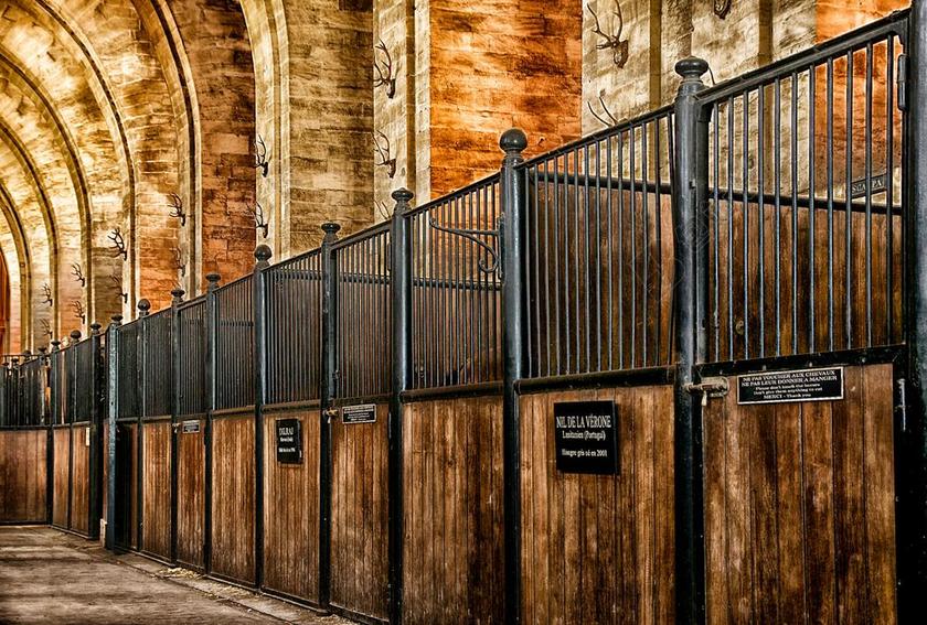 尚蒂伊 法国 马厩里 建设 摊位 马 结构 博物馆