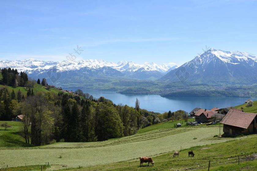 打喷嚏 图恩湖 伯尔尼高地 山 图恩HAUSBERG 瑞士 湖
