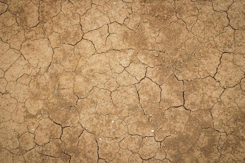 裂缝 干 土地 土壤 沙漠