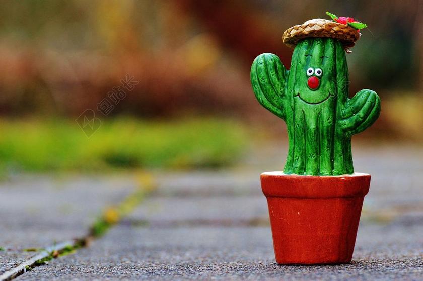 仙人掌 草帽 面对 滑稽 可爱 有趣的脸 装饰