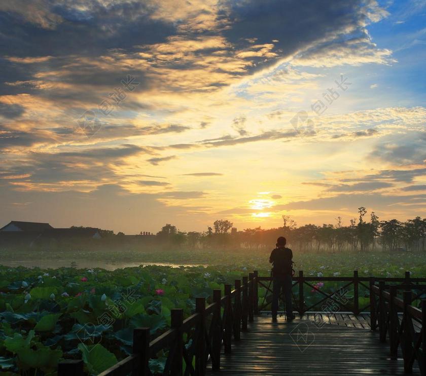 清晨的金色太阳背景图片