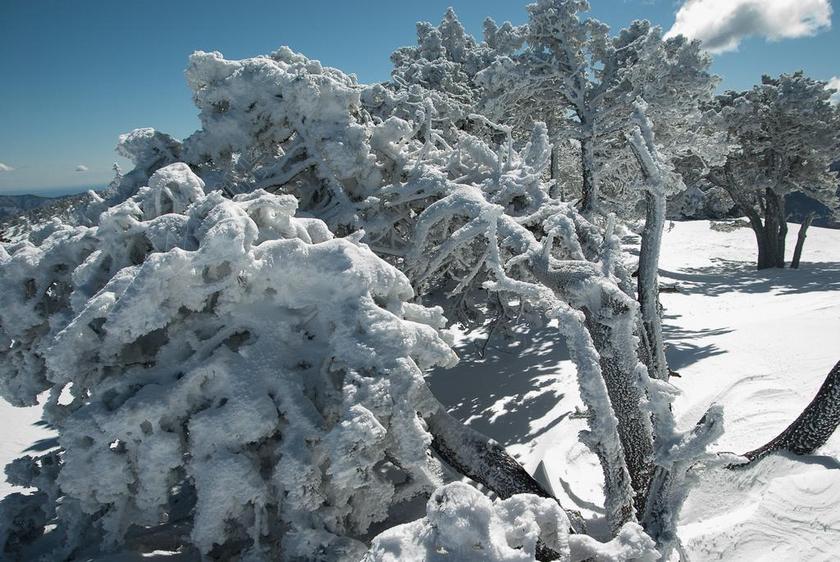 冬天白色的积雪背景图片