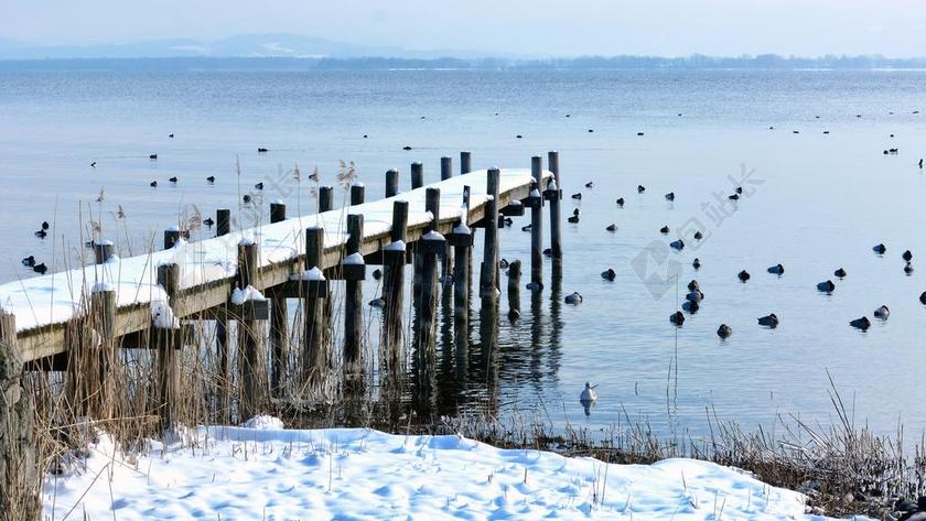 冬天 雪 网站 木板路 湖 水域 鸭 码头 寒冬 基姆湖