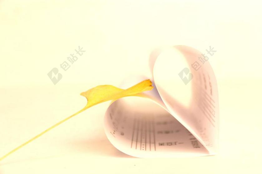 琴谱 银杏叶 摄影