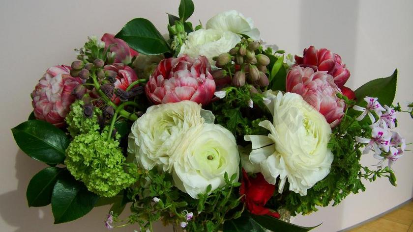 鲜花花束 颜色 切花