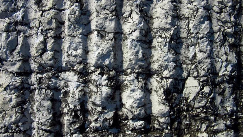 贝壳灰岩 大理石 石 表面 RAUH 层 纹理 模式 背景