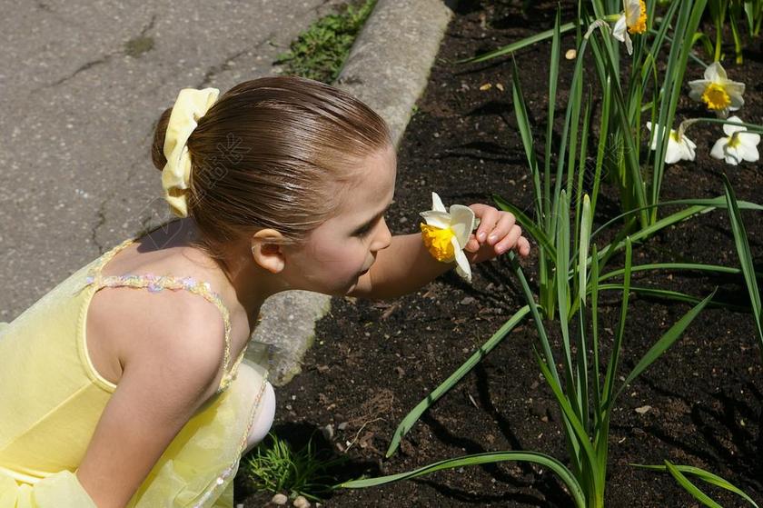 女孩 孩子 儿童 芭蕾舞女演员 喇叭花 黄色 嗅探 闻