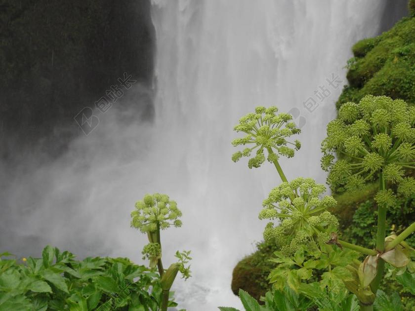 当归 瀑布 冰岛
